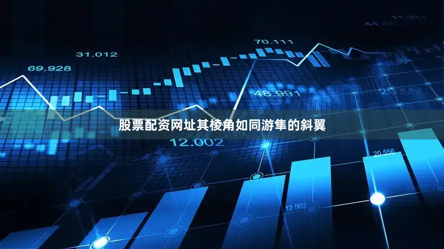 股票配资网址其棱角如同游隼的斜翼