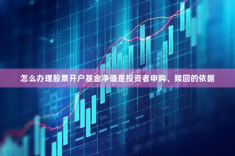 怎么办理股票开户基金净值是投资者申购、赎回的依据
