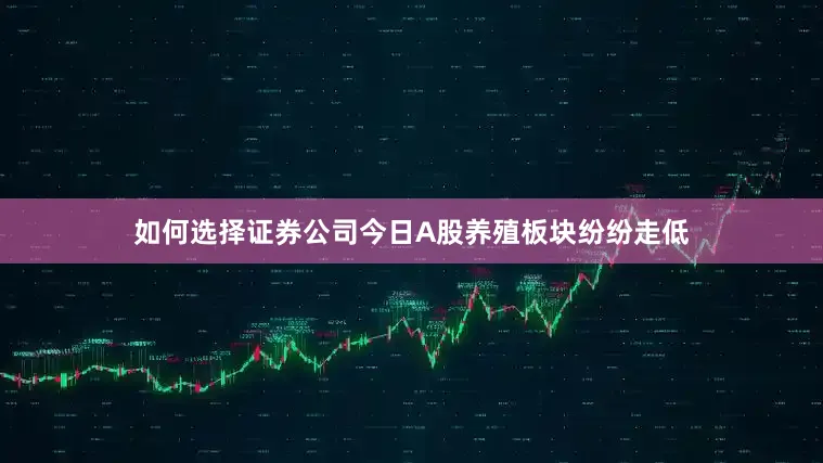 如何选择证券公司今日A股养殖板块纷纷走低