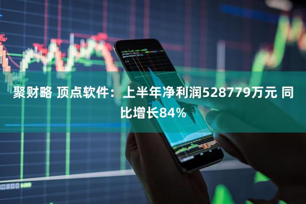 聚财略 顶点软件：上半年净利润528779万元 同比增长84%
